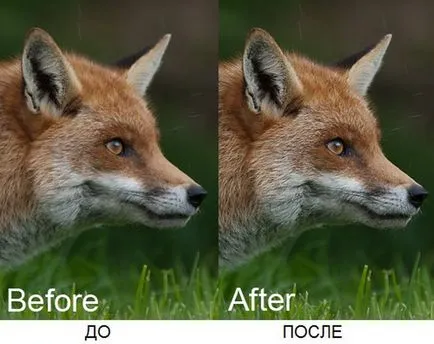 Cum de a îmbunătăți claritatea fotografiilor în Photoshop - bucătărie fotoshopkinoy