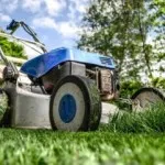 Ce să cumpere o masina de tuns iarba pentru grădină - alege cu înțelepciune!