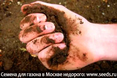 Cum știu ce tip de sol de la site-ul pentru a determina tipul de sol (vânzarea de semințe) Cum știu ce tip de sol de la site-ul pentru a determina tipul de sol