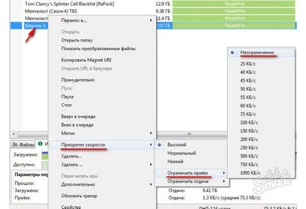 Cum de a crește viteza de descărcare unui torent (Torrent) Cum de a crește viteza de descărcare a unui torent