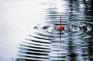 Cum de a alege un tip float de pescuit și tipuri de flotoare