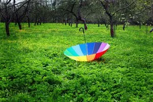 Cum de a alege o umbrelă - sfaturi și recomandări
