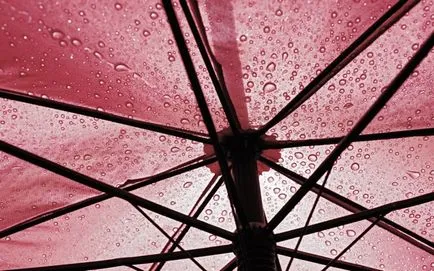 Cum de a alege o umbrelă - sfaturi foarte bune (pentru a alege) Cum de a alege o umbrelă - sfat foarte bun