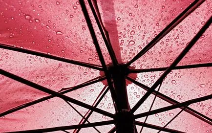 Cum de a alege o pliere umbrela umbrela durabil pentru femei și bărbați de ploaie - care este mai bună companie (robust) Cum de a alege o umbrelă umbrelă de pliere durabil pentru femei și bărbați de ploaie - care compania este mai bine