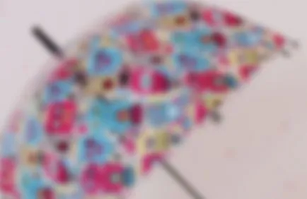 Cum de a alege o umbrelă de calitate - umbrela alege (modul de a alege o umbrelă de calitate) Cum de a alege o umbrelă de calitate - alege o umbrelă