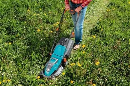 Cum de a alege o masina de tuns iarba Bord electric