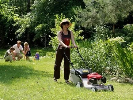 Cum de a alege o masina de tuns iarba tipuri de masina de tuns iarba și caracteristicile lor, casa de vis (modul de a alege o masina de tuns iarba) Cum de a alege o masina de tuns iarba tipuri de masina de tuns iarba și caracteristicile lor, casa de vis