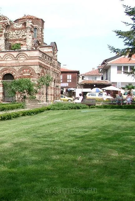 Cum de a alege o masina de tuns iarba pentru casă și vedere la grădină de tuns iarba