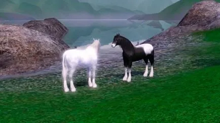 Ca și în The Sims pentru a face unicornul