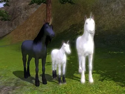 Ca și în The Sims pentru a face unicornul