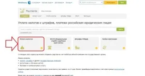 Cum de a plăti impozite on-line prin intermediul internetului