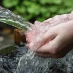 De ce vis de un câine vicios care se grăbește să muște și (care) De ce vis de un câine vicios care se grăbește și vrea să muște