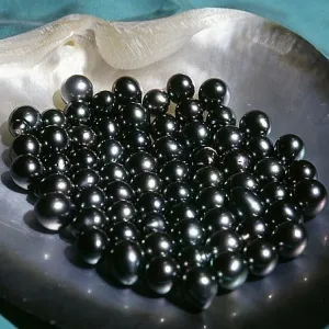 pietre negre