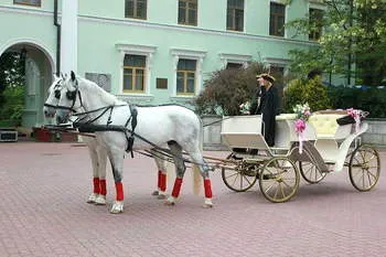 Antrenori pentru festivități