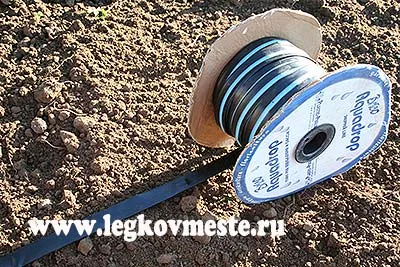 irigare prin picurare, cu propriile lor mâini sau sistemul de irigare prin picurare (udare) irigare prin picurare, cu propriile lor mâini sau sistem de irigare prin picurare