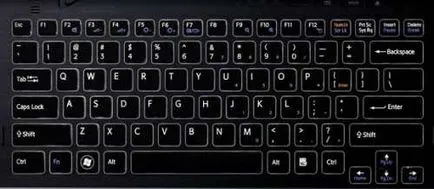 Tastatura laptop - lecții pe laptop - cu adevărat sălbatice