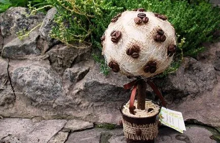 arbori de cafea topiara cum să-și creeze propriile mâini (cafea) arbori de cafea topiara cum să-și creeze propriile mâini