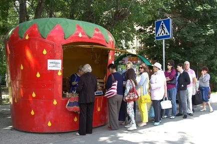 de afaceri de origine căpșuni