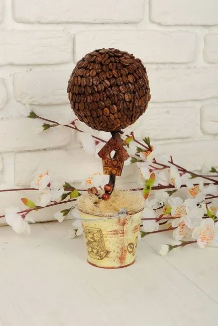 arbori de cafea topiara cum să-și creeze propriile mâini (cafea) arbori de cafea topiara cum să-și creeze propriile mâini