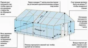 Construcție de sere pentru castraveți și dispunerea lor