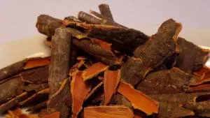 Pațachină scoarță proprietăți utile și contraindicații, cele mai bune retete (proprietăți) Buckthorn scoarță proprietăți și contraindicații utile, cele mai bune rețete