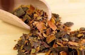 Pațachină scoarță proprietăți utile și contraindicații, cele mai bune retete (fructe crușin) Buckthorn scoarță proprietăți și contraindicații utile, cele mai bune rețete