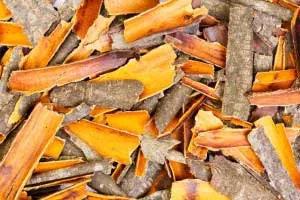 Pațachină scoarță proprietăți utile și contraindicații, cele mai bune retete (Rhamnus cathartica) Buckthorn scoarță proprietăți și contraindicații utile, cele mai bune rețete