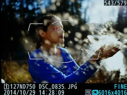 Contrast și detecție a fazei autofocus
