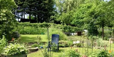 Amenajare a teritoriului la cabana lor de vară în grădină, cu propriile sale mâini, idei (lor) Amenajare a teritoriului la cabana lor de vară în grădină, cu mâinile propriile sale idei,