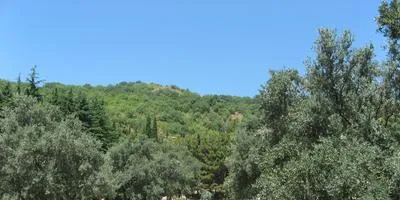 Amenajare a teritoriului la cabana lor de vară în grădină, cu propriile sale mâini, ideea (proiectare) Amenajare a teritoriului la cabana lor de vară în grădină, cu mâinile propriile sale idei,