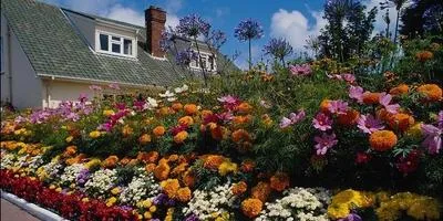 Amenajare a teritoriului la cabana lor de vară în grădină, cu mâinile propriile sale idei, Amenajare a teritoriului la cabana lor de vară în grădină, cu mâinile propriile sale idei,