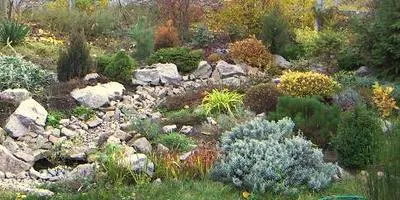 Amenajare a teritoriului la cabana lor de vară în grădină, cu propriile sale mâini, idei (lor) Amenajare a teritoriului la cabana lor de vară în grădină, cu mâinile propriile sale idei,
