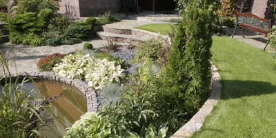 Amenajare a teritoriului la cabana lor de vară în grădină, cu propriile sale mâini, idei (peisaj) Amenajare a teritoriului la cabana lor de vară în grădină, cu mâinile propriile sale idei,