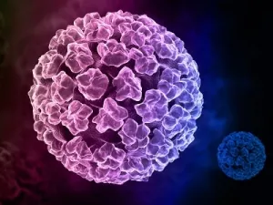 Tratamentul cu HPV la femei pot fi vindecate definitiv, precum și decât pentru a trata papilomavirus - si medicamente (cum se vindeca papilomavirus uman la femei) Tratamentul cu HPV la femei pot fi vindecate definitiv, precum și pentru a trata decât papilomavirusul - medicamente si