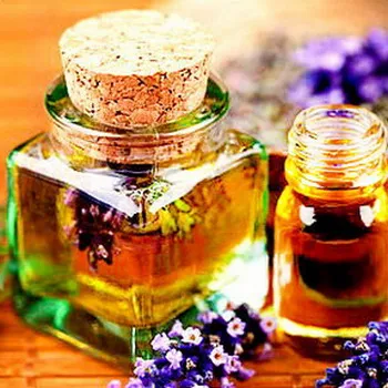 Proprietăți medicinale de plante salvie și contraindicații (medicale) Proprietăți medicinale de plante salvie și contraindicații