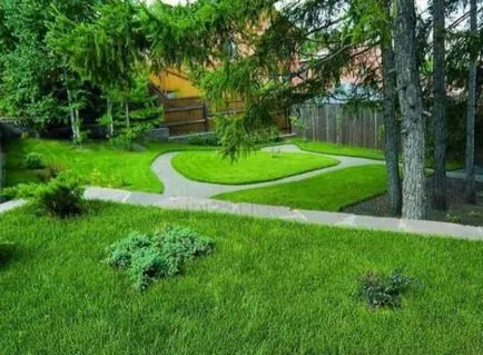 zona Amenajare a teritoriului cu o pantă, întregul design într-un singur loc