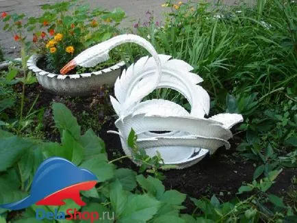 Swan pneuri