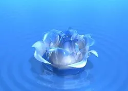 Iubirea este limbajul florilor (partea 8), revista QLI femei