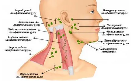 Ganglionii limfatici in diagnosticul gatului si cauze a crescut, eu sunt sănătos! Ganglionii limfatici in diagnosticul gatului si cauze a crescut, eu sunt sănătos!