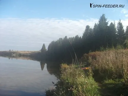 pescuit Tench pe iaz - sfaturi din experiența personală (float de turnare la distanță) pescuit Tench pe iaz - sfaturi din experiența personală