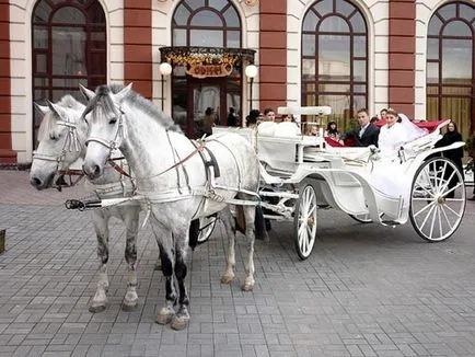 Cai pentru nunta