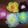Master class „din flori de șervețele de hârtie“