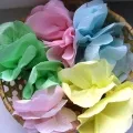 Master class „din flori de șervețele de hârtie“