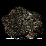 Marcasite - minerale, descriere, proprietăți, câmpuri și fotografii Marcasite - minerale, descriere, proprietăți, câmpuri și fotografii