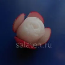 Master - cursuri