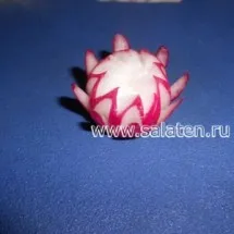 Master - cursuri
