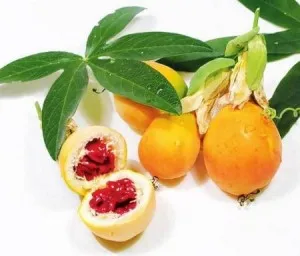 Fructul pasiunii - proprietăți bune și utile
