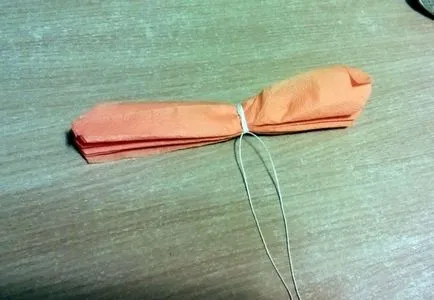 Master class „din flori de șervețele de hârtie“