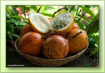 fructe fructul pasiunii pasiune, sănătate de familie (pasiune) Fructul pasiunii pasiunii fructe, de sănătate de familie