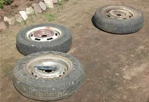 Master-class pentru a face o lebădă dintr-un pneu